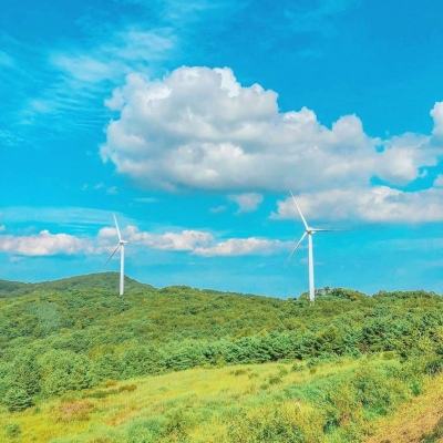 oppo版京门风月手游下载